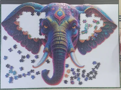 Elephant · photo 2