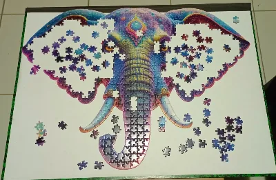 Elephant · photo 3
