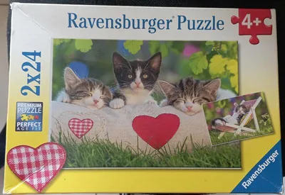 Verschlafene Kätzchen