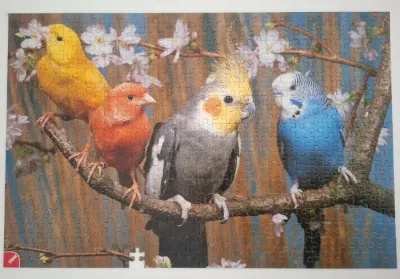 Riesen Puzzle-Sortiment · photo 1
