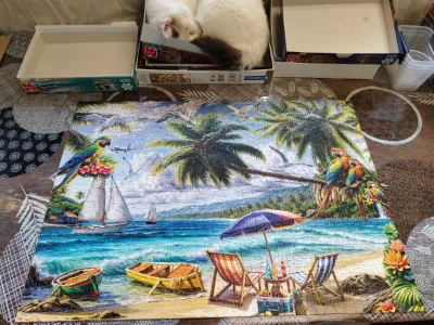 Tropical Breeze · photo 2