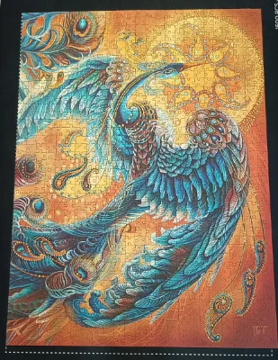 Skybird Birds of happiness · photo 1