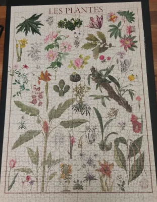 Les plantes · photo 1