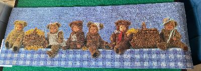 Teddy Bear's Picnic · photo 1