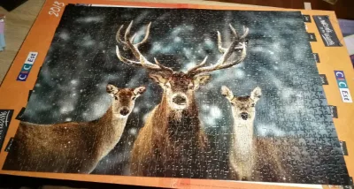 Noble deer family · photo 1