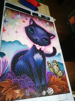Black Kitty · photo 2