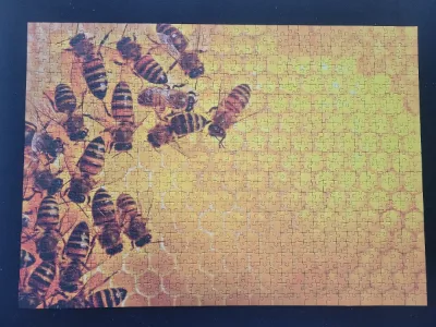 The Hive · photo 1