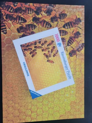 The Hive · photo 2