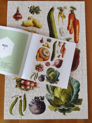 Jolies planches du potager — Photo 2