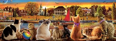 Cats on the Quay · photo 2