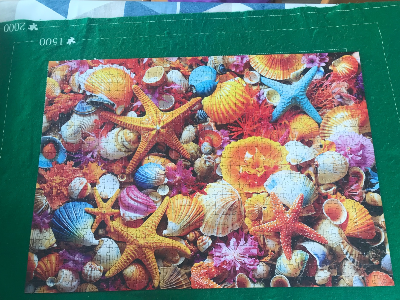 Collage de coquillages · photo 1