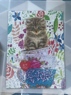 Kitten in a cup · photo 1