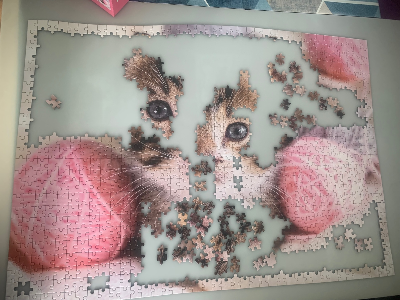 Chat et pelotes de laine · photo 2