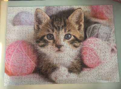 Chat et pelotes de laine · photo 1