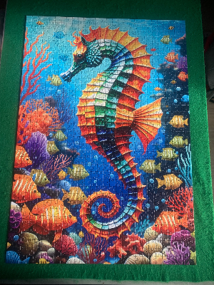 Seahorse · photo 1