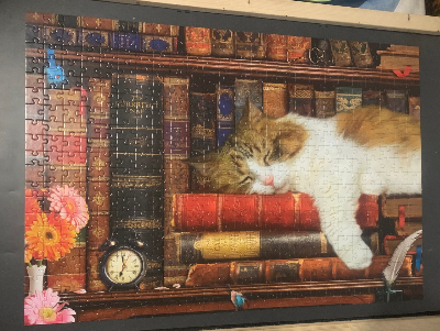 The Cat Nap · photo 1