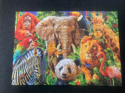 Wild Animal Collage · photo 2