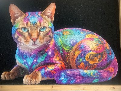Cat · photo 1