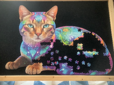 Cat · photo 2