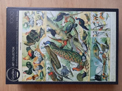 Illustration du Nouveau Larousse Illustré : Oiseaux XIXè Siècle · photo 2