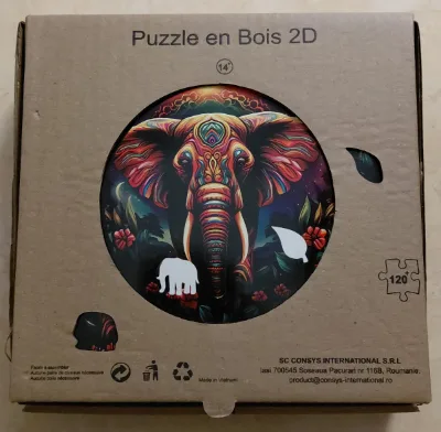 Éléphant  tribal — Photo 2