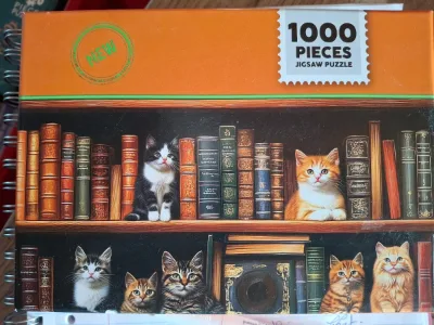 Bibliothèque chat · photo 2