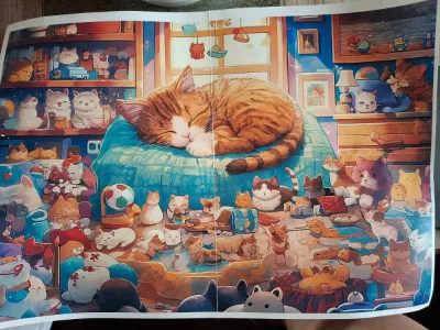 Cozy cat nap · photo 2
