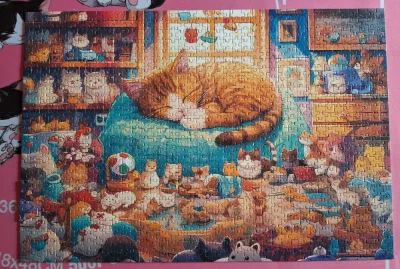 Cozy cat nap · photo 1