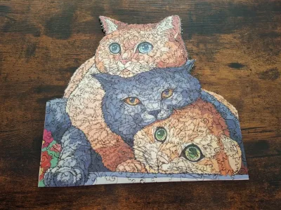 Chats · photo 1