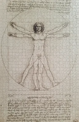 The Vitruvian Man, 1490 · photo 1