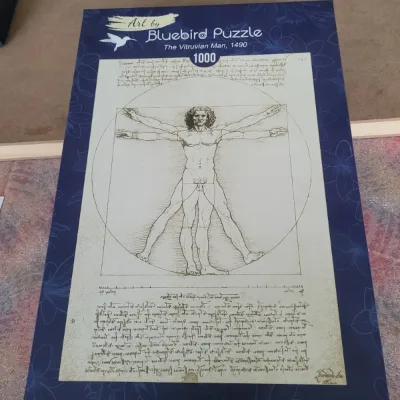 The Vitruvian Man, 1490 · photo 2