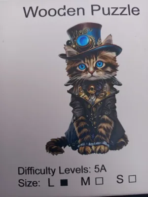 Chat au chapeau · photo 1