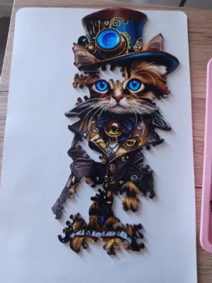 Chat au chapeau · photo 2