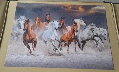 Chevaux du desert · photo 1