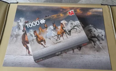 Chevaux du desert · photo 2