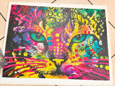 Colorful Cat · photo 1