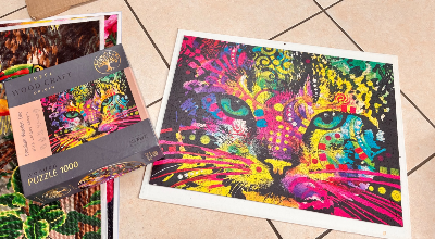 Colorful Cat · photo 2