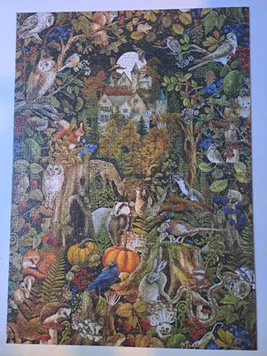 Autumn Equinox — photo 2