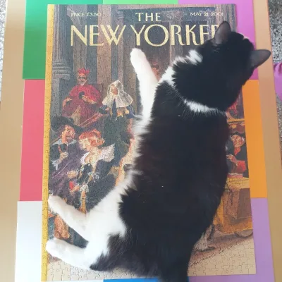 Monday at the met · photo 3
