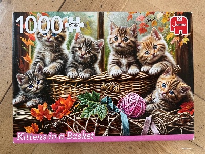 Kittens in a Basket · photo 1