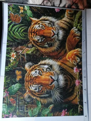Tigers in the jungle · photo 1