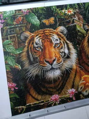 Tigers in the jungle · photo 2