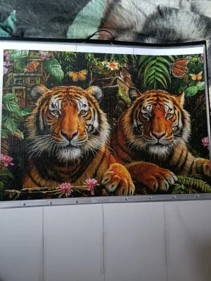 Tigers in the jungle · photo 3
