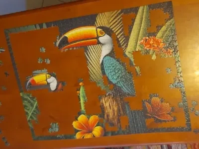 Toucans · photo 1