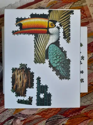 Toucans · photo 2