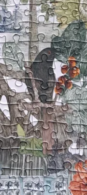 Découvrir le monde à travers 50 arbres · photo 2