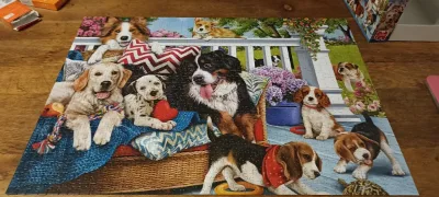 Dogs on the Porch — photo 1