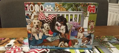 Dogs on the Porch — photo 2