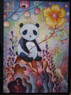 Panda baps · photo 2