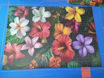 Fleurs